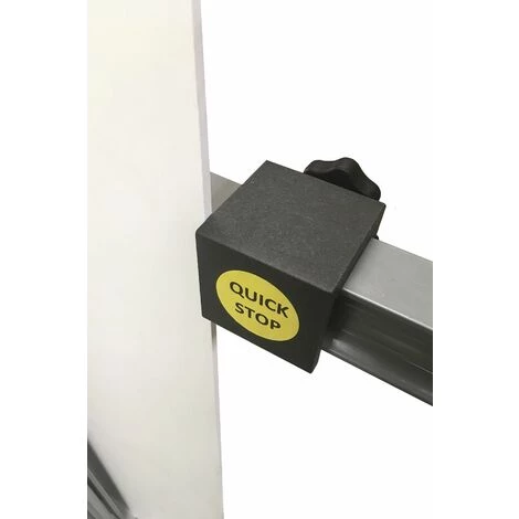 Scie à Format Verticale Apollo AXL 2,10 M SSC AXL210 6 Scie à Format Verticale Apollo AXL 2,10 M SSC AXL210 – Image 4