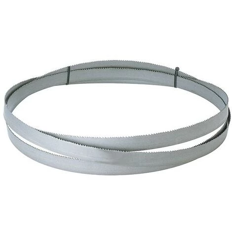 FORMAT Lame De Scie Ruban HSSBi D6-10 2950x27x0 3 FORMAT Lame De Scie Ruban HSSBi D6-10 2950x27x0