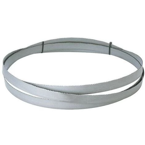 FORMAT Lame De Scie Ruban HSSBi D6-10 2950x27x0 4 FORMAT Lame De Scie Ruban HSSBi D6-10 2950x27x0 – Image 2