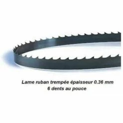 PROBOIS Lame De Scie à Ruban 1875 Mm Largeur 10 épaisseur 0.36 Mm
