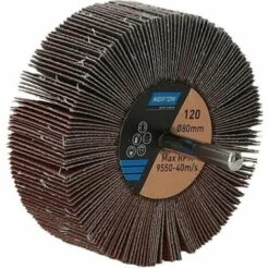 FP Disque à Lamelle Sur Tige R207Plus 80x30x6 P120 (Par 10)