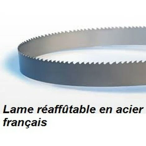 PROBOIS Lame De Scie à Ruban 3330 Mm Largeur 10 épaisseur 0.5 Mm (Lurem SAR410, HBS430MAKER) 3 PROBOIS Lame De Scie à Ruban 3330 Mm Largeur 10 épaisseur 0.5 Mm (Lurem SAR410, HBS430MAKER)