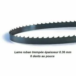 PROBOIS Lame De Scie à Ruban 1572 Mm Largeur 10 Mm Pour Ryobi RBS904