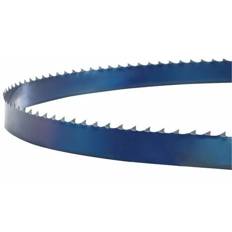 HOLZKRAFT 5160011 LAME DE SCIE REC. HBS 231-1 6x0,5x1575 6ZZ 3 HOLZKRAFT 5160011 LAME DE SCIE REC. HBS 231-1 6x0,5x1575 6ZZ